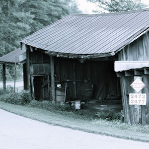 Meet your Posher, Bobby